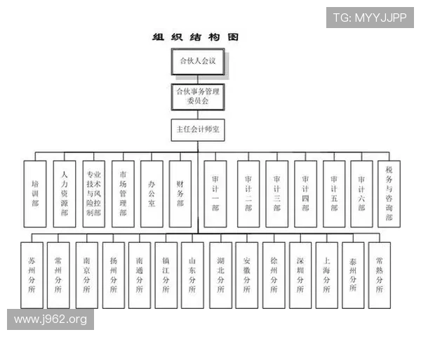 全面解析中华会计师公会的组织架构与发展历程